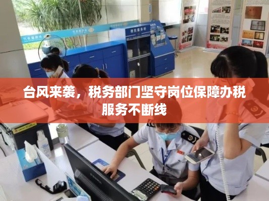 台风来袭，税务部门坚守岗位保障办税服务不断线