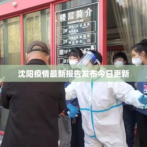 2025年4月 第129页