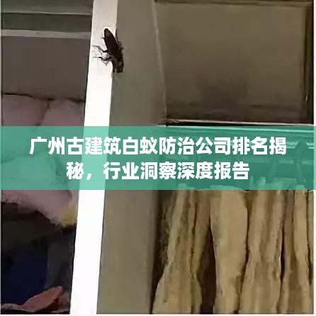 广州古建筑白蚁防治公司排名揭秘，行业洞察深度报告