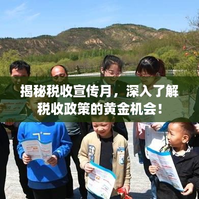 揭秘税收宣传月，深入了解税收政策的黄金机会！