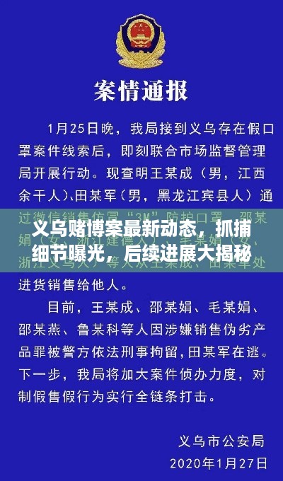 义乌赌博案最新动态，抓捕细节曝光，后续进展大揭秘