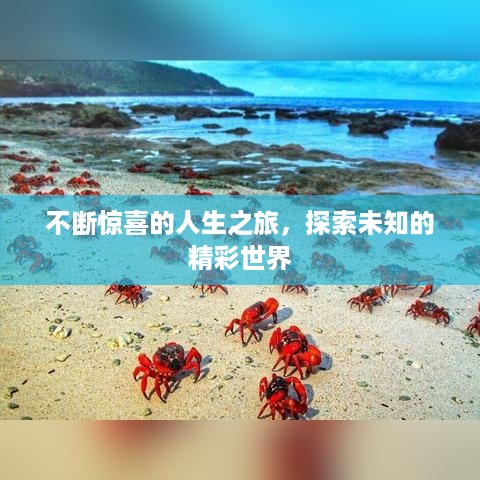 不断惊喜的人生之旅，探索未知的精彩世界
