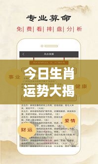 今日生肖运势大揭秘，最新运势表查询，洞悉你的未来走向！
