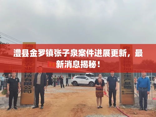 澧县金罗镇张子泉案件进展更新，最新消息揭秘！