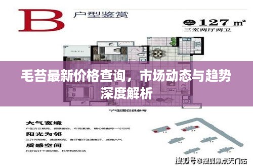 毛苔最新价格查询，市场动态与趋势深度解析