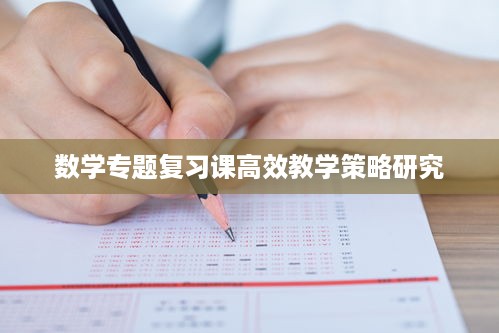数学专题复习课高效教学策略研究
