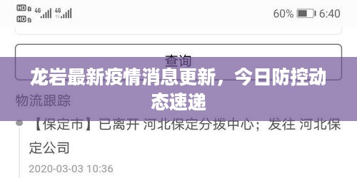 龙岩最新疫情消息更新，今日防控动态速递