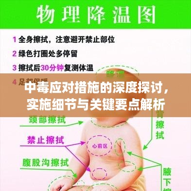 中毒应对措施的深度探讨，实施细节与关键要点解析