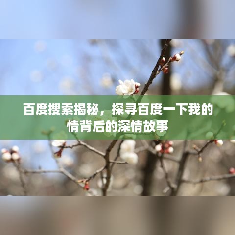 百度搜索揭秘，探寻百度一下我的情背后的深情故事