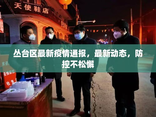 丛台区最新疫情通报，最新动态，防控不松懈