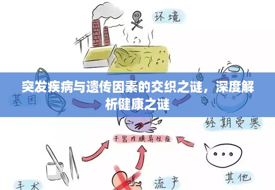 突发疾病与遗传因素的交织之谜，深度解析健康之谜