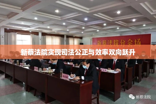 新蔡法院实现司法公正与效率双向跃升