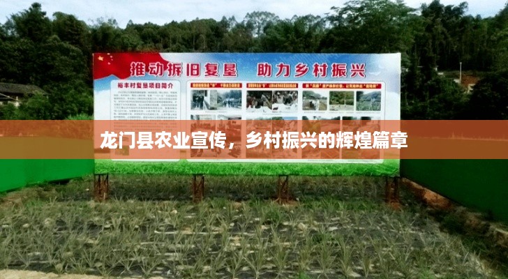 龙门县农业宣传，乡村振兴的辉煌篇章