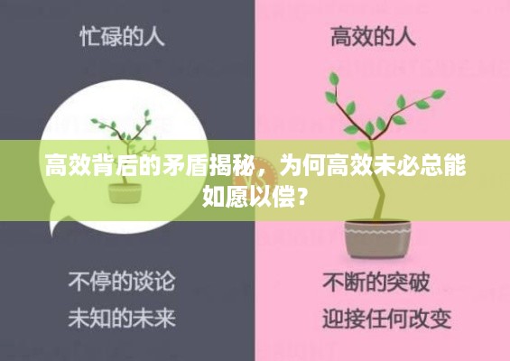 高效背后的矛盾揭秘，为何高效未必总能如愿以偿？