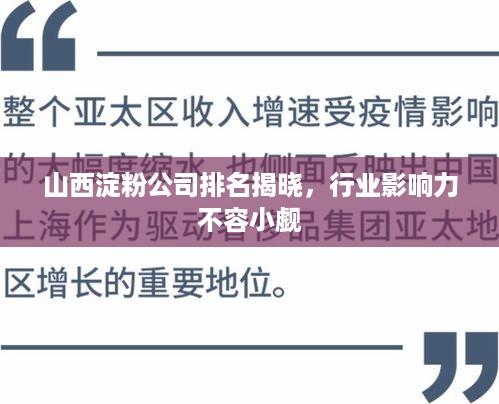 山西淀粉公司排名揭晓，行业影响力不容小觑