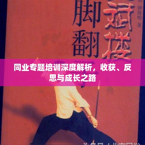 同业专题培训深度解析，收获、反思与成长之路