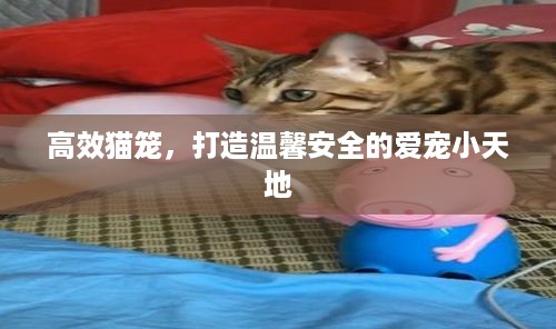 高效猫笼，打造温馨安全的爱宠小天地