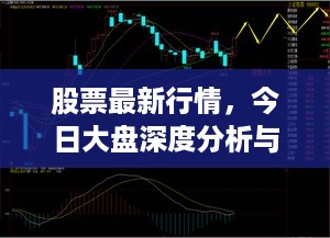 股票最新行情，今日大盘深度分析与展望