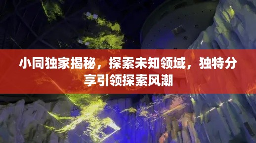 小同独家揭秘，探索未知领域，独特分享引领探索风潮