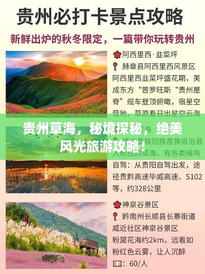 贵州草海，秘境探秘，绝美风光旅游攻略！