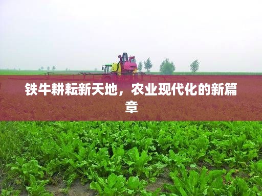 铁牛耕耘新天地，农业现代化的新篇章