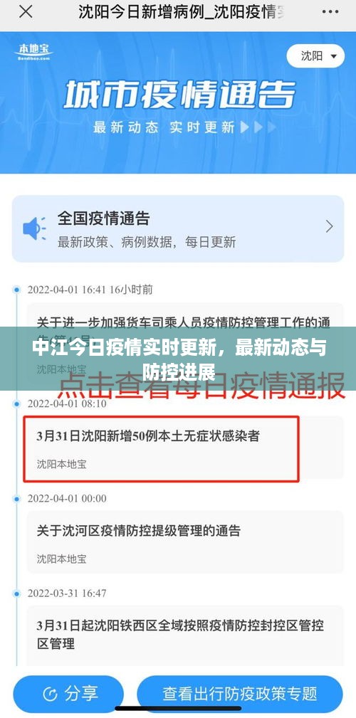 中江今日疫情实时更新，最新动态与防控进展