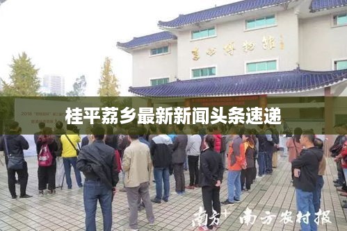 桂平荔乡最新新闻头条速递