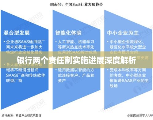 银行两个责任制实施进展深度解析