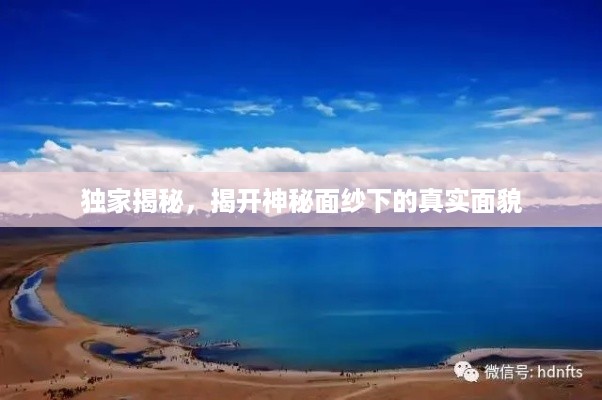 独家揭秘，揭开神秘面纱下的真实面貌
