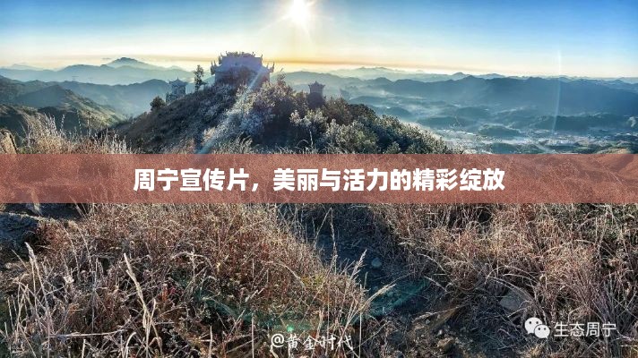周宁宣传片，美丽与活力的精彩绽放