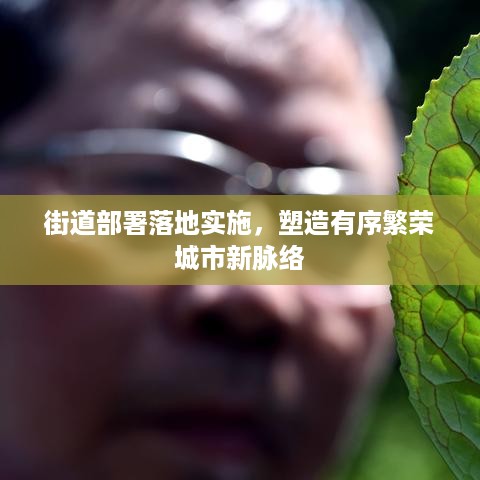 街道部署落地实施，塑造有序繁荣城市新脉络