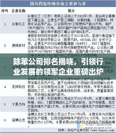 除苯公司排名揭晓，引领行业发展的领军企业重磅出炉！