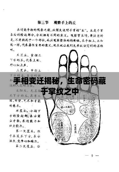 意气风发