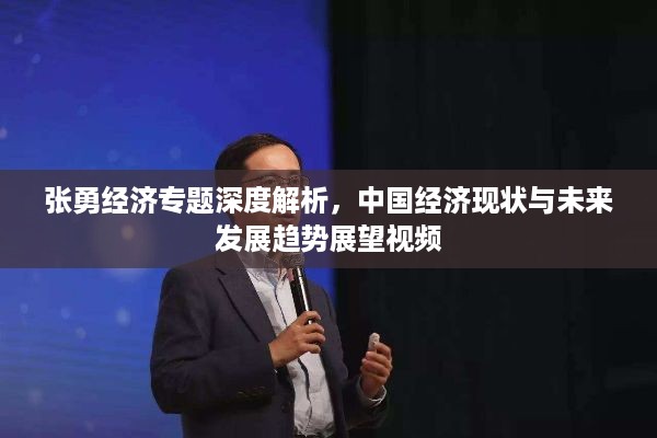 张勇经济专题深度解析，中国经济现状与未来发展趋势展望视频