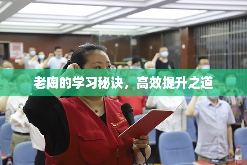 老陶的学习秘诀，高效提升之道