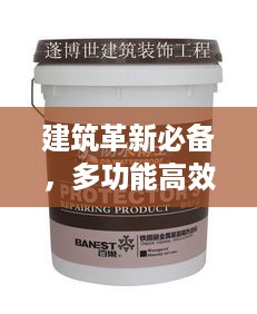 龙飞九五
