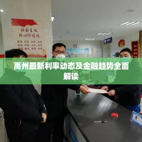 禹州最新利率动态及金融趋势全面解读