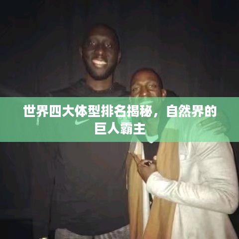 世界四大体型排名揭秘，自然界的巨人霸主