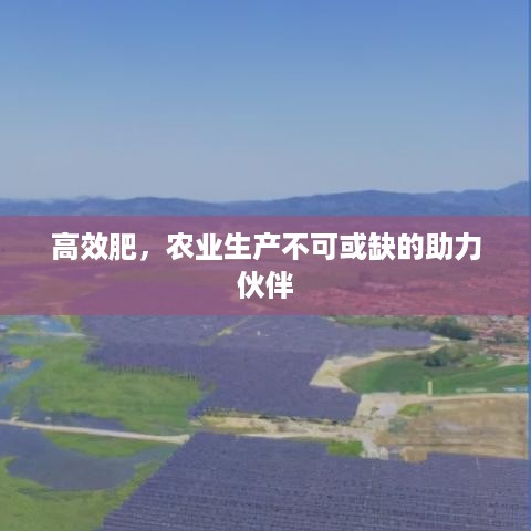 高效肥，农业生产不可或缺的助力伙伴