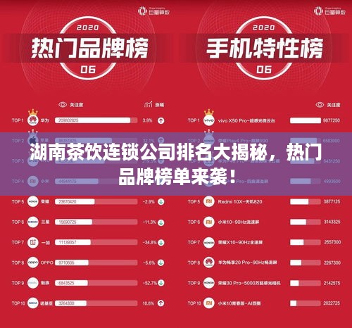 飞扬跋扈