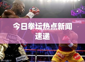 今日拳坛热点新闻速递