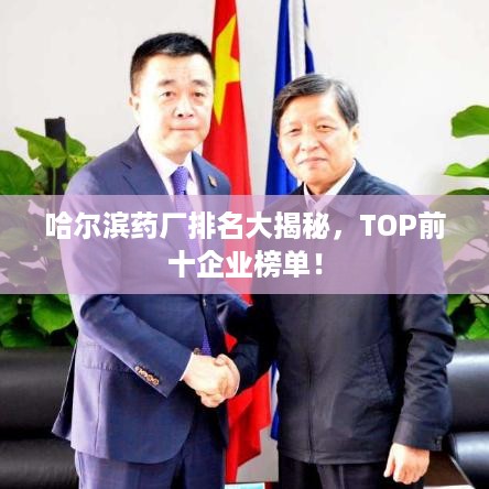 哈尔滨药厂排名大揭秘，TOP前十企业榜单！