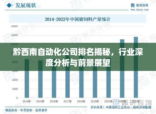 黔西南自动化公司排名揭秘，行业深度分析与前景展望