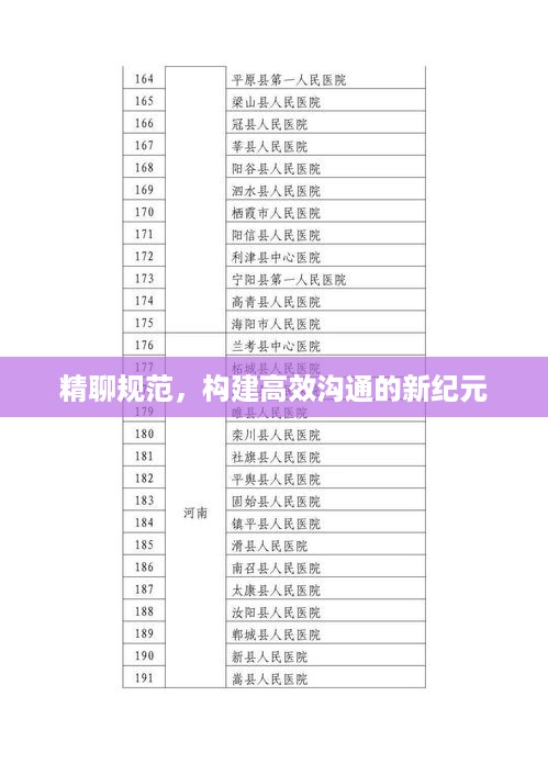精聊规范，构建高效沟通的新纪元