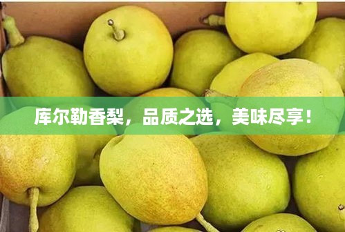 库尔勒香梨，品质之选，美味尽享！