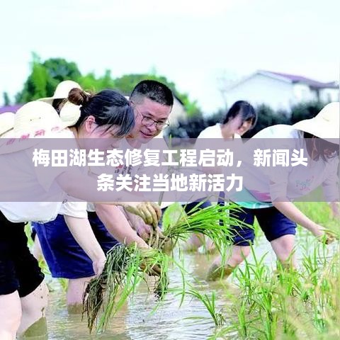 鸟声兽心