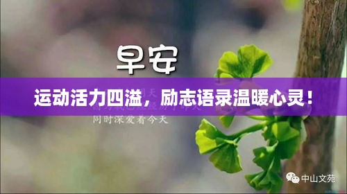 运动活力四溢，励志语录温暖心灵！