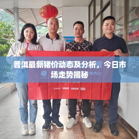 普洱最新猪价动态及分析，今日市场走势揭秘