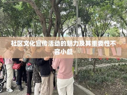 社区文化宣传活动的魅力及其重要性不容小觑