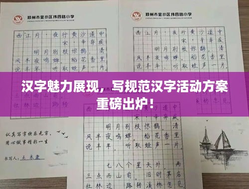 汉字魅力展现，写规范汉字活动方案重磅出炉！